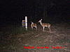 First Pics Ever!!!-mdgc0010.jpg