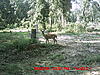 First Pics Ever!!!-mdgc0064.jpg