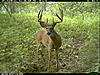 Same Buck?-2010-08-31-12-46-58-m-1_3.jpg