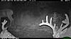 Same Buck?-2010-08-01-04-34-54-m-1_2.jpg