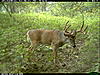 Same Buck?-2010-08-31-12-46-41-m-3_3.jpg