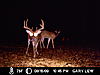 WOW...score this PA bruiser (with body pictures)-icam0048.jpg