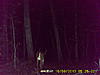 Very first trail cam pics ever!!!-rsz_trail_cam_002.jpg