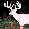 FULLRUT OUTFITTERS Trail cam pic's 2010-cr12.jpg