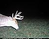 PA Mature Buck Compilation...(15 bucks all 4.5+)-cdy_-4.jpg