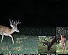 PA Mature Buck Compilation...(15 bucks all 4.5+)-cdy_2-young-2-maybe.jpg