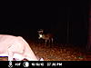 Michigan Buck-icam0003.jpg