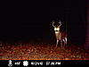 Michigan Buck-icam0013.jpg