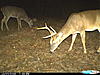 Few Bucks-cdy_0025.jpg