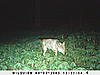 First Named Hoosier Buck-sunp0097.jpg