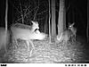 Next year's prospect-pict0111_5doe.jpg