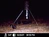 Your favorite trailcam photo-h-122907.jpg