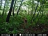 Your favorite trailcam photo-fawn3.jpg
