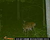 Need Help with Camera-dsc_0115.jpg