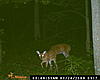 Need Help with Camera-dsc_0117.jpg