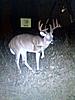 A few from last year-deer-cam.jpg