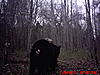2011 Wisconsin Bear Baiting Pics-2011-bear-zone-c-home-003.jpg
