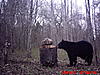 2011 Wisconsin Bear Baiting Pics-2011-bear-zone-c-home-004.jpg