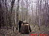 2011 Wisconsin Bear Baiting Pics-2011-bear-zone-c-home-047.jpg