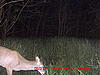 This Year Growth-mdgc0455.jpg