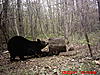 2011 Wisconsin Bear Baiting Pics-2011-bear-zone-c-home-116.jpg
