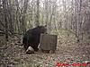 2011 Wisconsin Bear Baiting Pics-2011-bear-zone-c-home-017.jpg