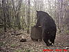 2011 Wisconsin Bear Baiting Pics-2011-bear-zone-c-home-019.jpg