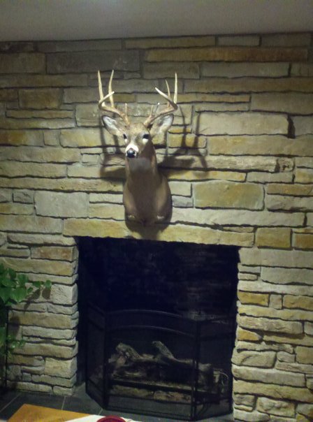 Name:  deer mount.jpg
Views: 80
Size:  54.7 KB