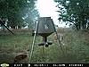 First fawn on trail cam...-june-11_11-99-_resize.jpg