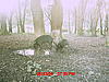 checked cameras yesterday-021.jpg