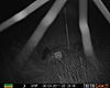 Spider cam-prms0187.jpg