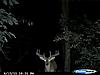 Help Can you Age this Buck ?-superwide-9-2011.jpg