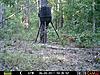 primos truthcam 60 - trigger speed-small-fawn.jpg