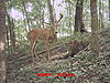 one to keep an eye on-295.jpg