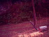 pics of black bear that torn down my feeder-sunp0014.jpg