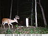 My biggest buck to date...What do you think?-dsc_0007.jpg