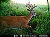 Got at least 4 big bucks!-mdgc0040p.jpg