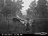 2011 Trail camera pictures.-cdy_0003.jpg