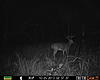 Game Cam Review-prms0066.jpg