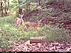 Game Cam Review-cdy_0020.jpg