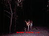  2009 Hunting Net Trail camera pictures-mdgc0018.jpg