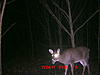 9 point-icam0015.jpg