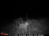 pretty cool coyote pics very close-canyon-trail-cam-pictures-035.jpg