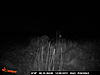 mix of trail camera pics-canyon-trail-cam-pictures-043.jpg