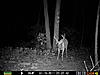 PRIMOS Truth 46 Trail Camera-prms0010.jpg