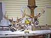 moultrie i40 picture-picture-014.jpg