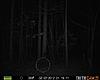 New trail cam for Christmas-prms0004x.jpg