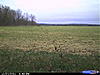 Cuddeback Pictures-003.jpg