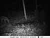 Pics from a cheapo Stealth Rogue cam-boylan-s-trail-cam-pics-044.jpg