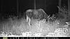 m80 pics-pict0016.jpg